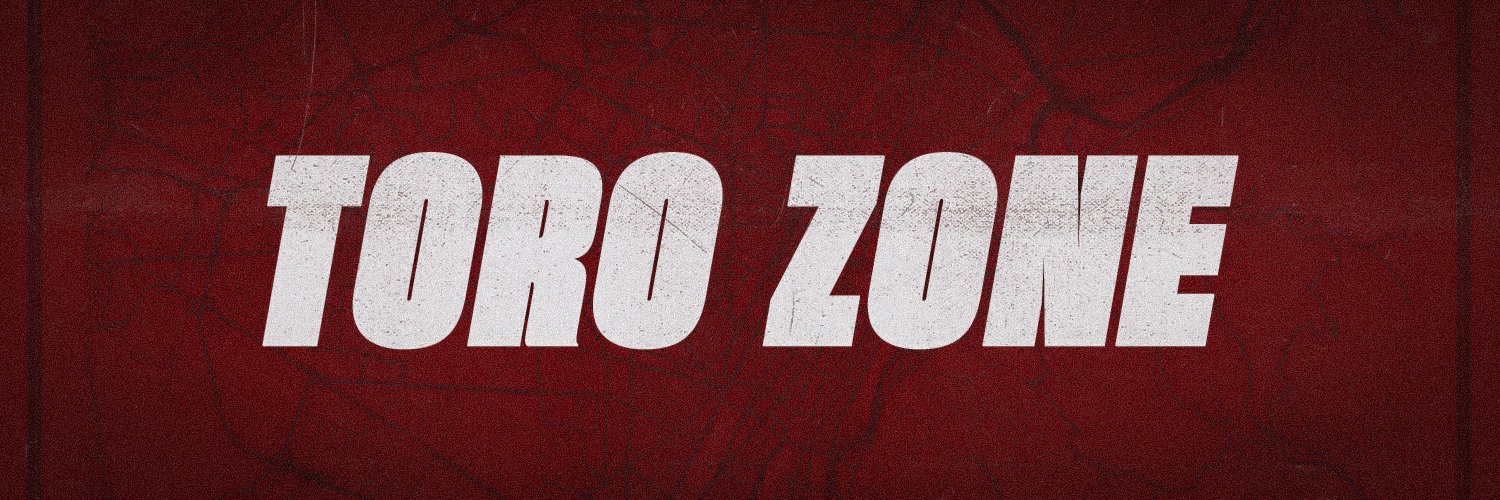 Toro Zone banner