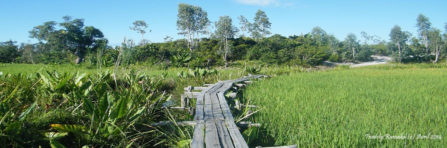 Tantely  Ramaka banner