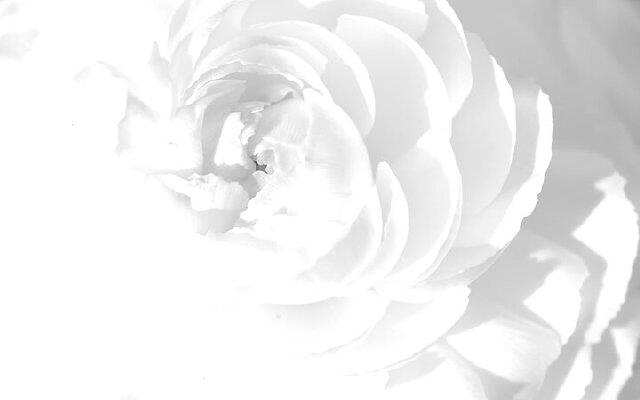 rosangel2375's profile banner image