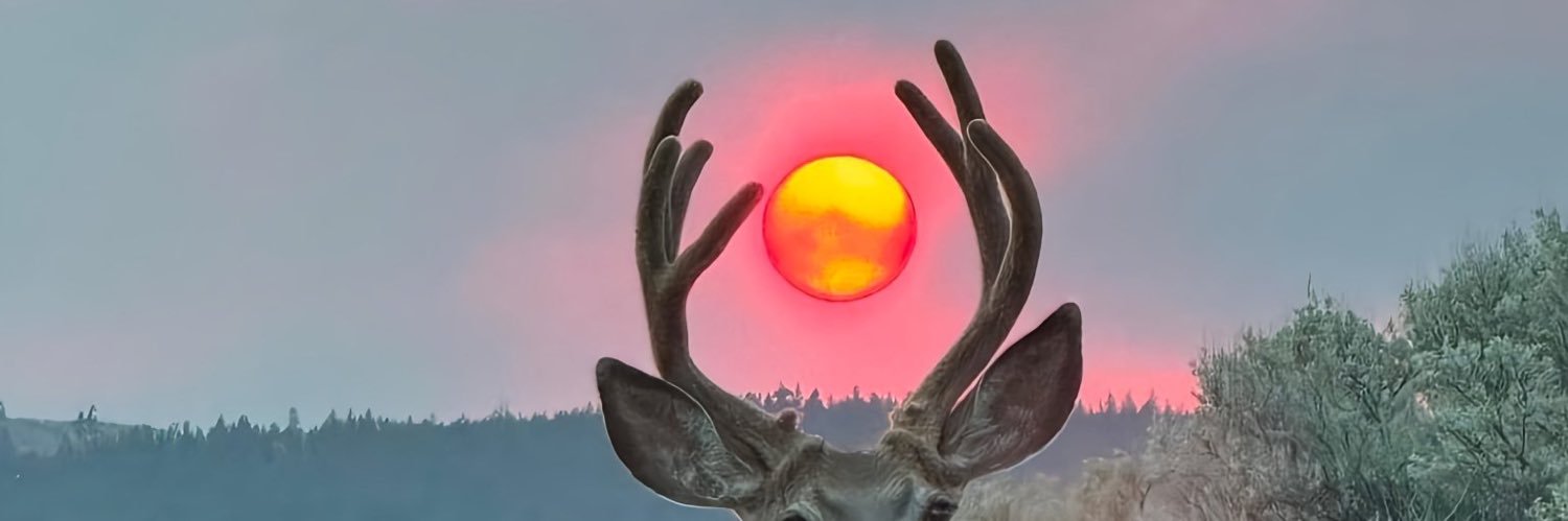 bahdbunnyy's profile banner image
