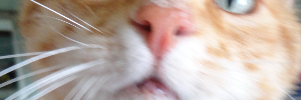 _mishe23's profile banner image