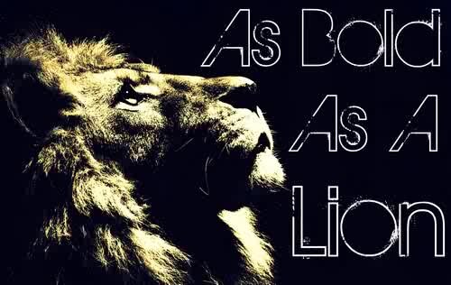 BibleGunner's profile banner image