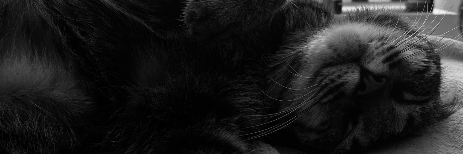 urfuturemuuse's profile banner image
