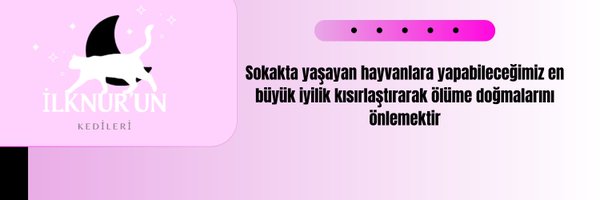 kedilernilknuru Profile Banner
