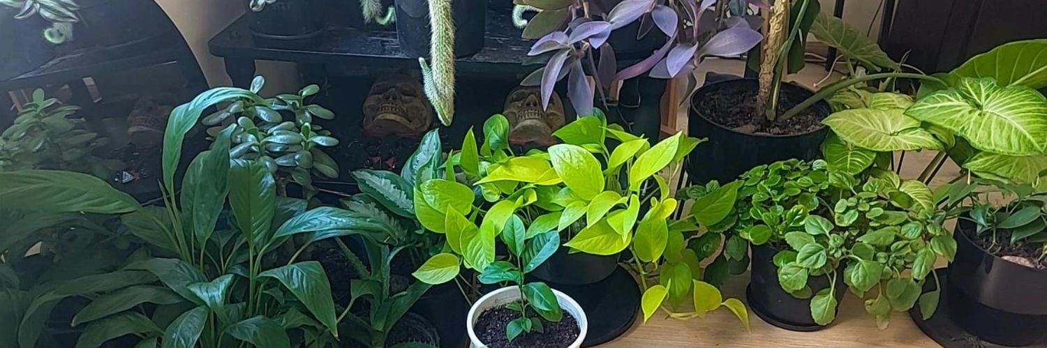 DEEEPGARDEN banner