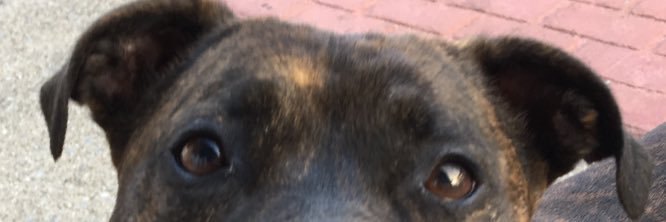 Oh_Monnie's profile banner image