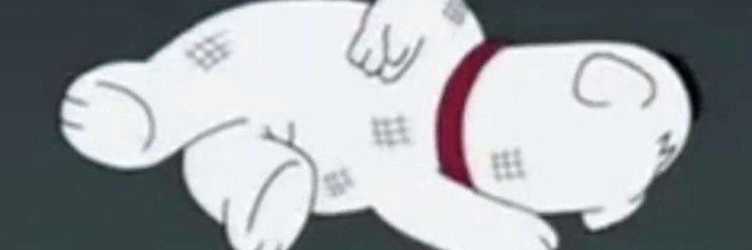 Mirajellie 𖦹 banner