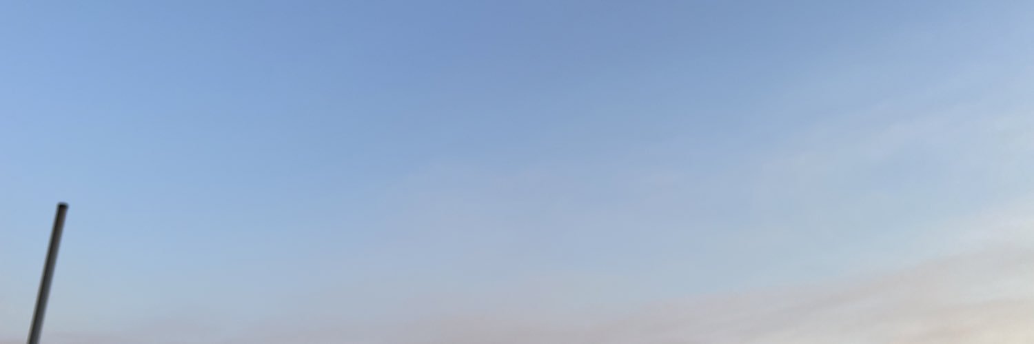 lulia banner