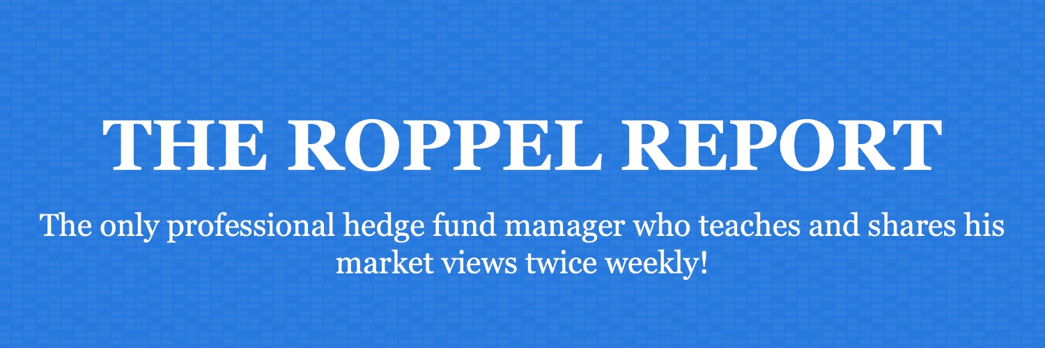 Roppel Report banner