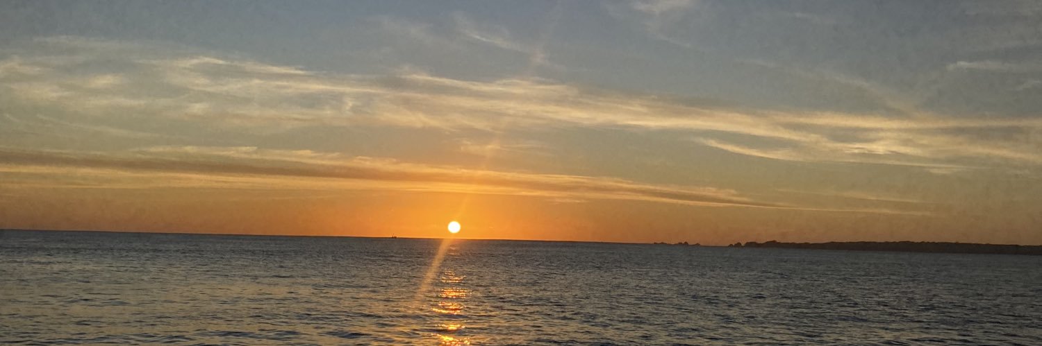 avocad0s___'s profile banner image