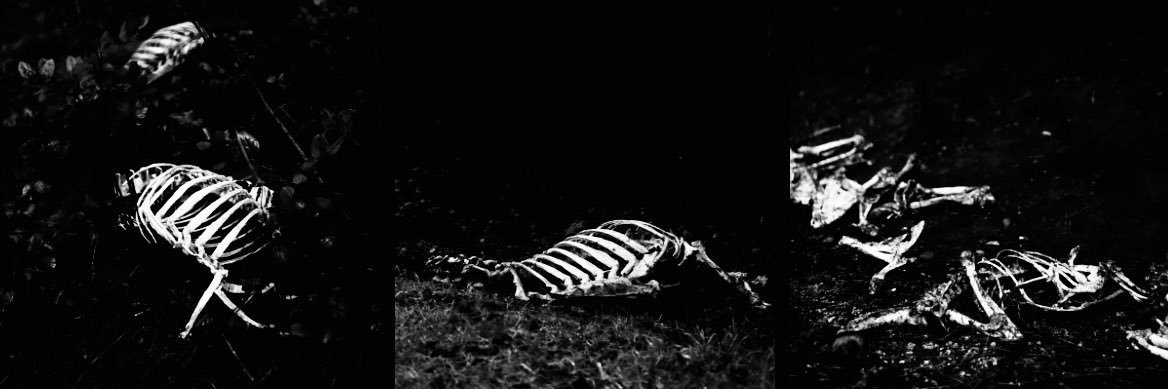 inky's banner
