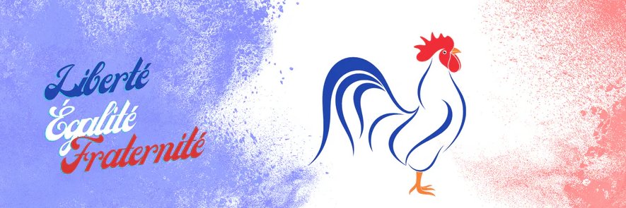🇫🇷 Christian Meillon banner