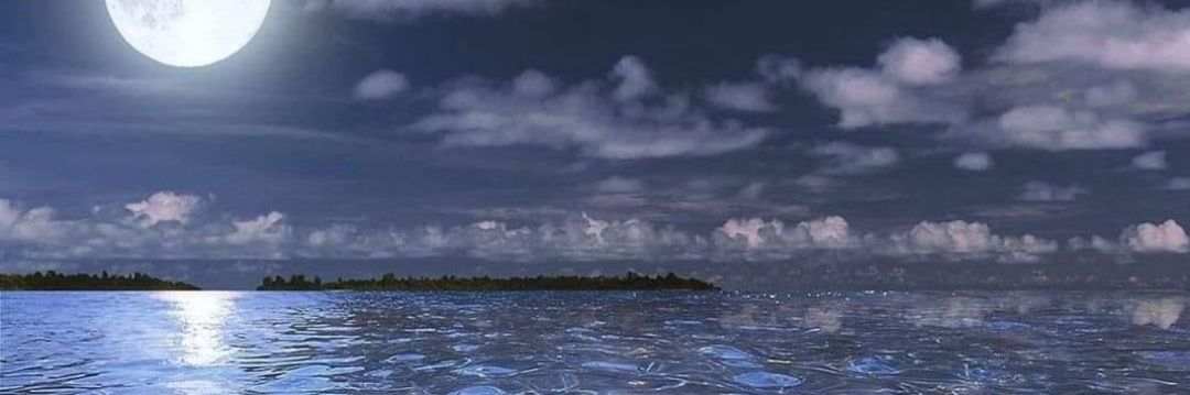 erensonses's profile banner image