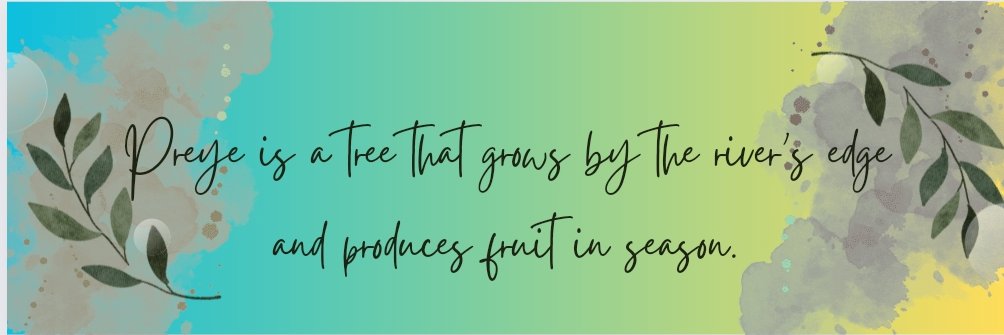 Preye Thriving💫 banner