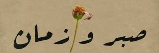 Rafi banner