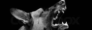 Jamarious Mosley banner