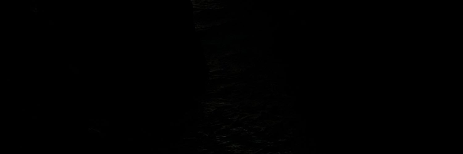 pimienttas's profile banner image