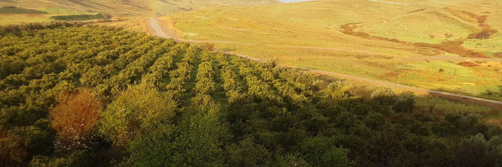 Hayrettin ŞEKER banner