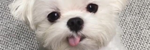 พลีสเองแม่🫶🏻💫 banner