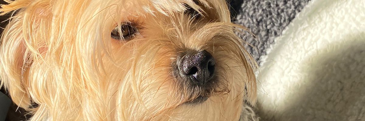 mical_hl's profile banner image