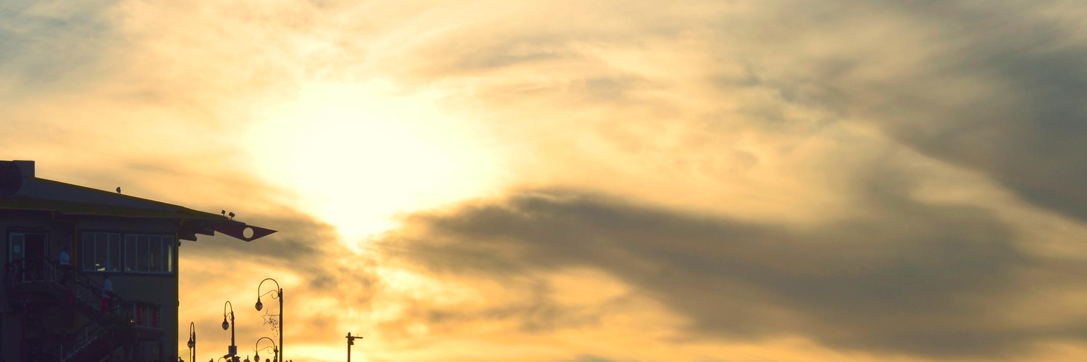 sunnylam's profile banner image