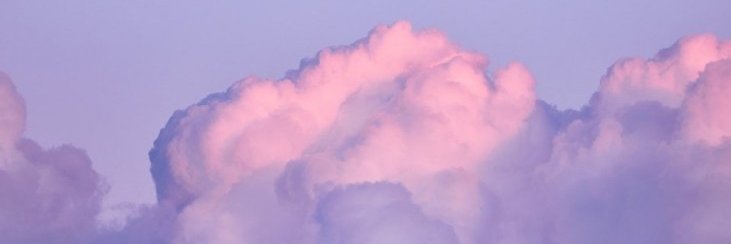 Shanyl_'s profile banner image