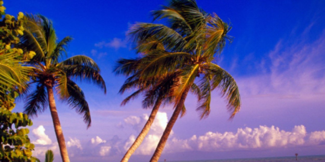 FloridasFittie's profile banner image