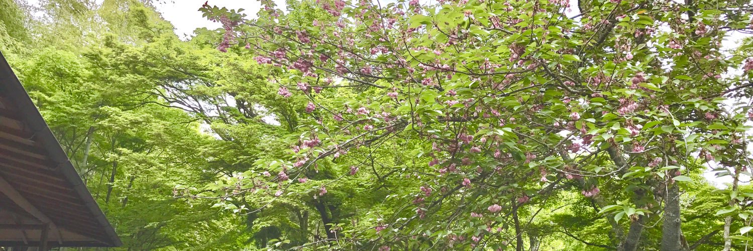 again_1114's profile banner image