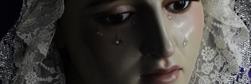 Davsegper's profile banner image