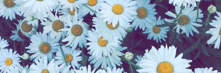 FloAmaral's profile banner image