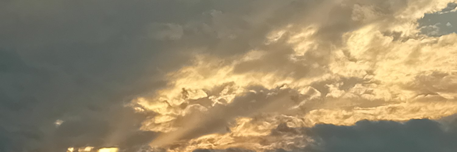 yolan van der veer banner