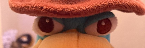 ruby 🐊 banner