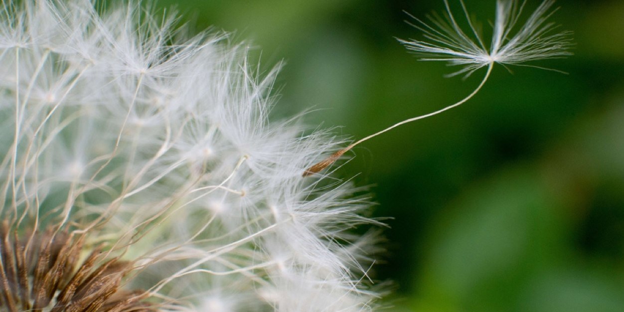 Alfonso González Hermoso de Mendoza banner