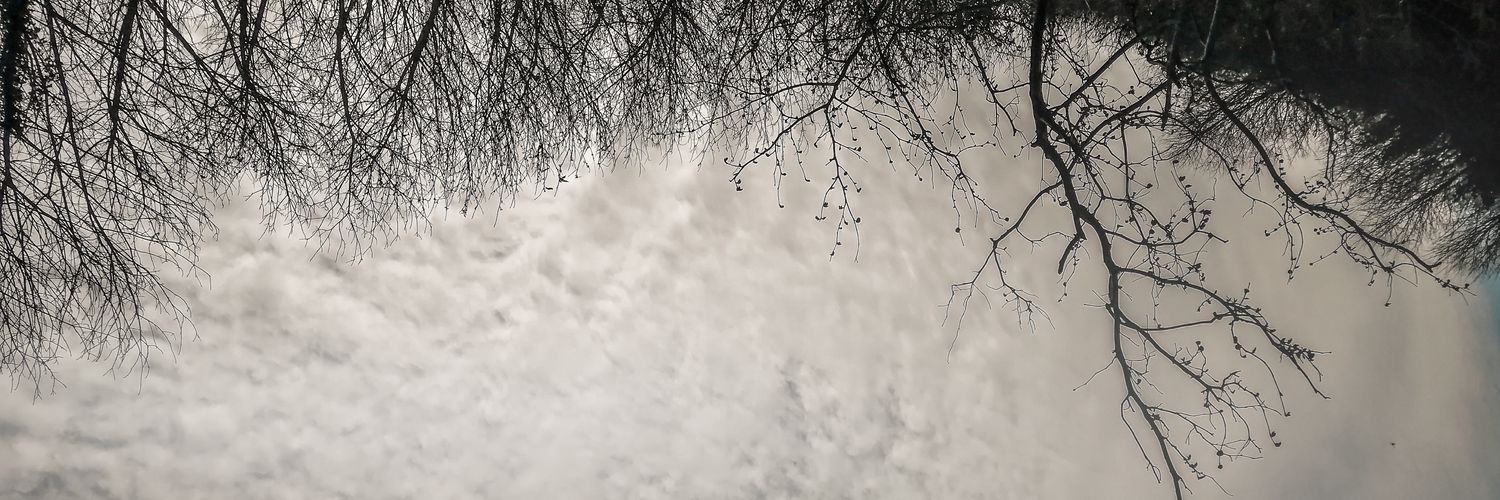 kaplumim's profile banner image