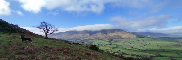 wellboy Profile Banner