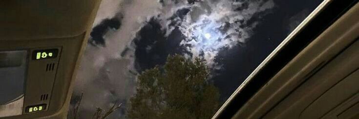 S banner