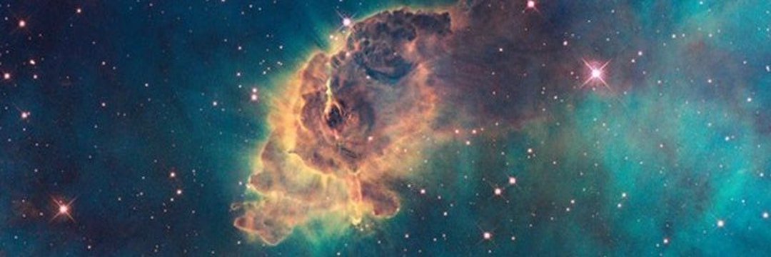 Doutora Kelly banner