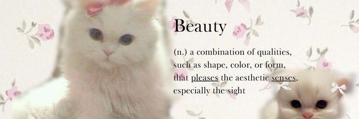 Ayi²⁵ banner