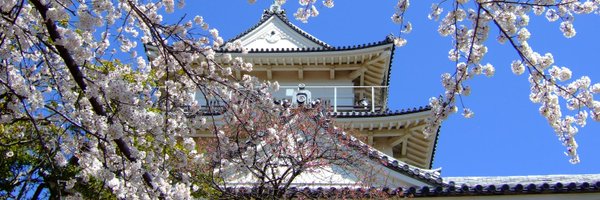 TorontoViewer Profile Banner