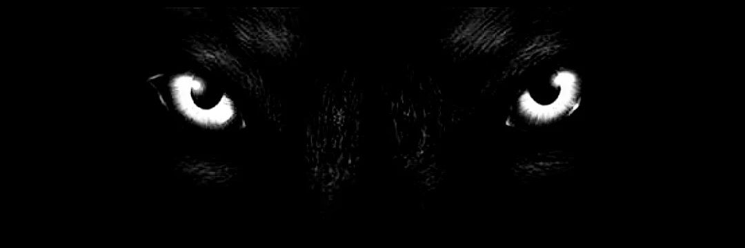 hawksferry's profile banner image