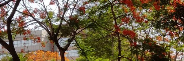 akshkumart Profile Banner
