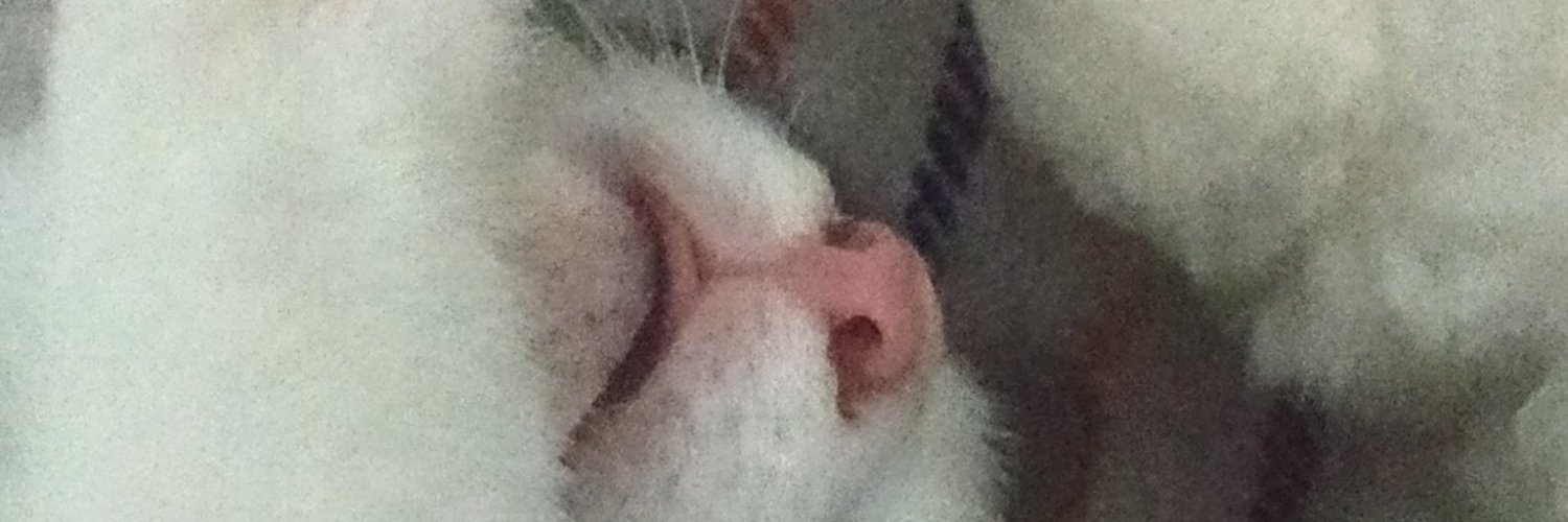 gwiwaa's profile banner image