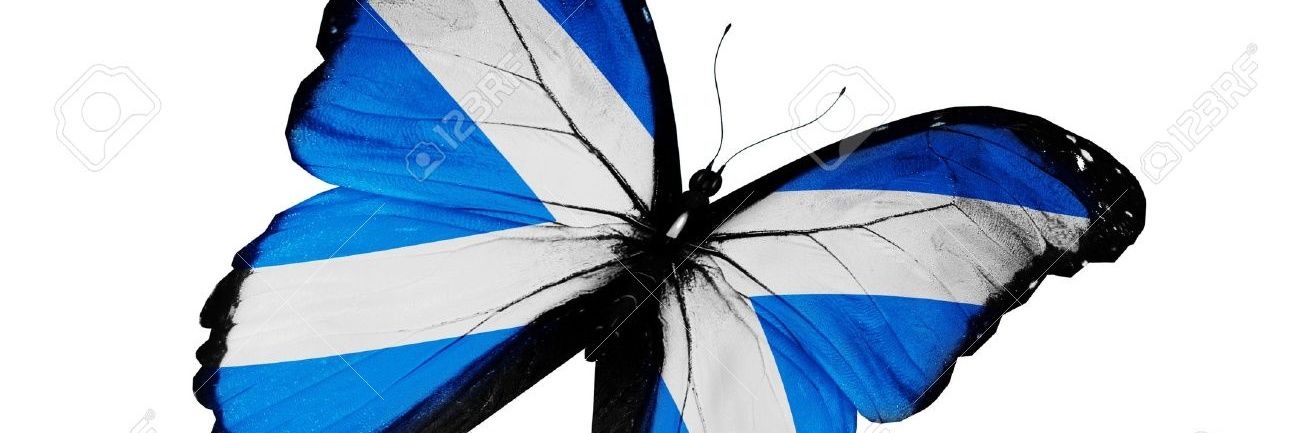 scott_glass's profile banner image