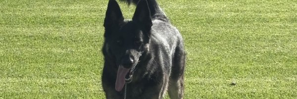 Cammzy15 Profile Banner