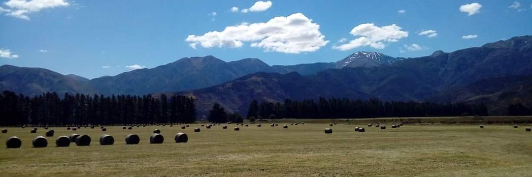 Hannah Clarke banner