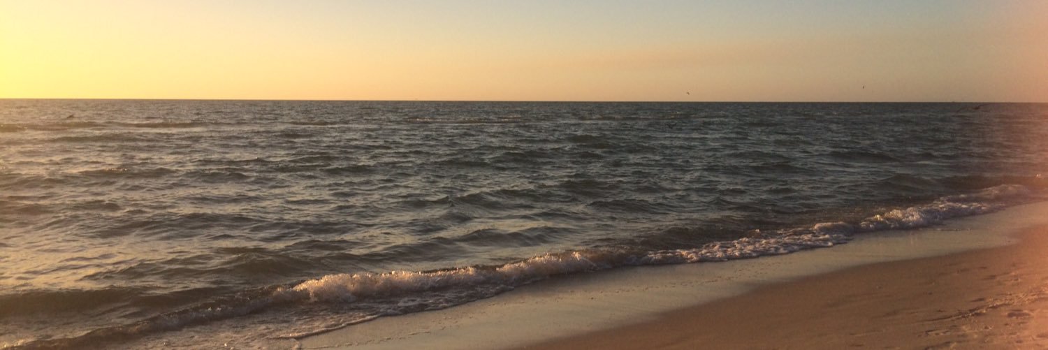andrehaines's profile banner image