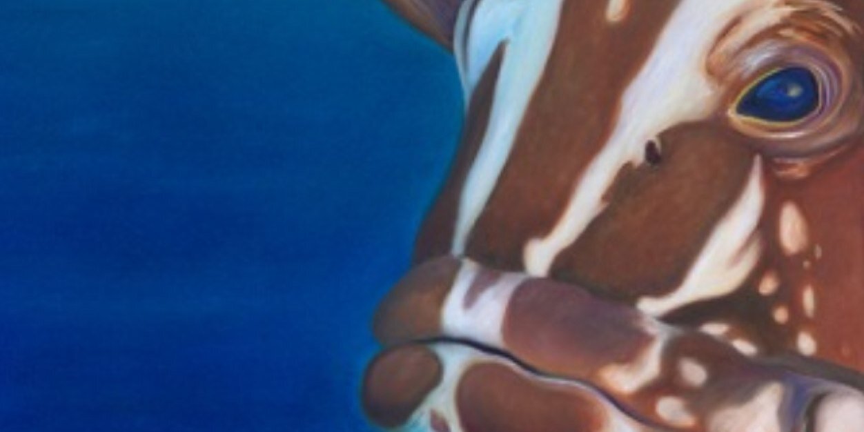 Turtlelady's profile banner image