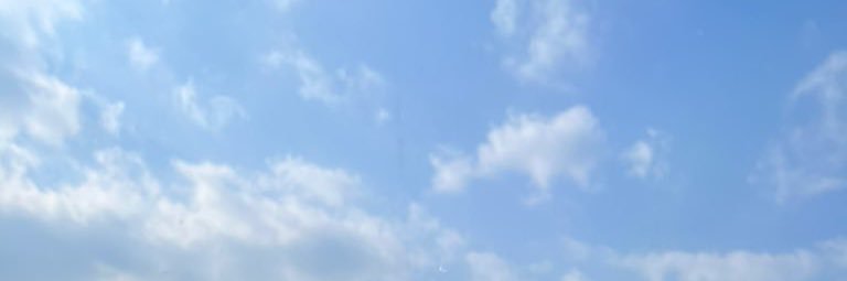 콩 banner
