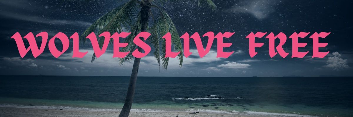 Freestyle Lyfe 🇩🇴 🇺🇸 banner