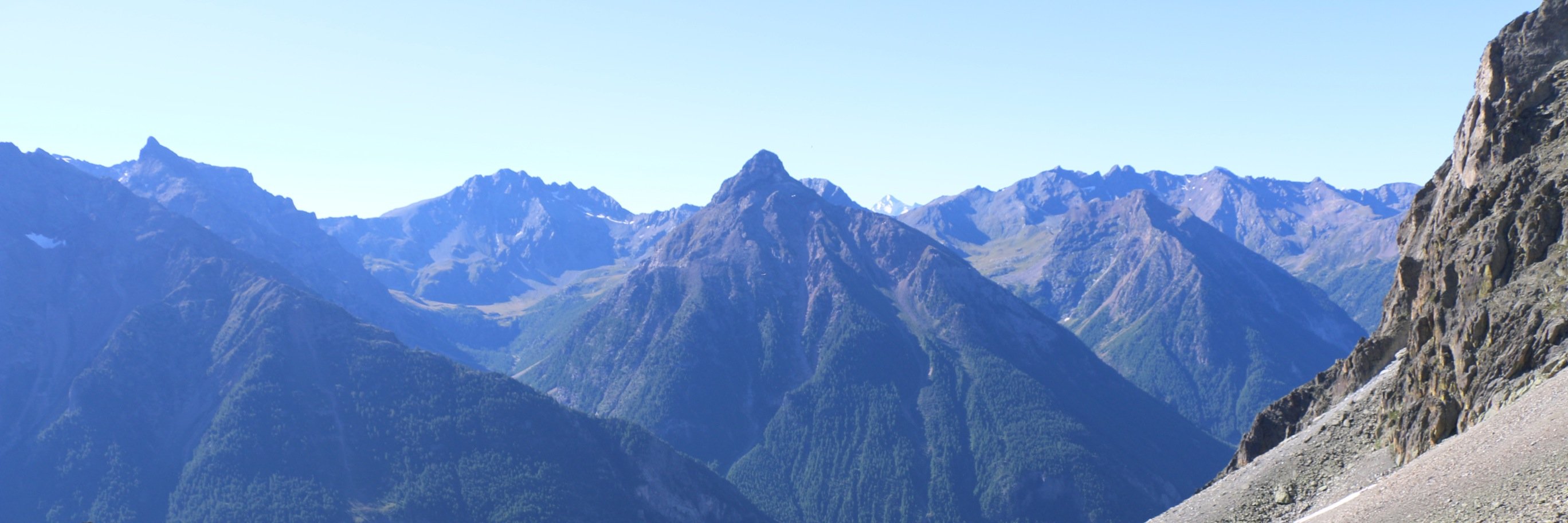 suzannealgra's profile banner image